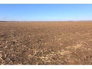 Property photo 16 - LAND AUCTION - 300+/- ACRES IN 2 TRACTS IN SULLIVAN COUNTY, INDIANA